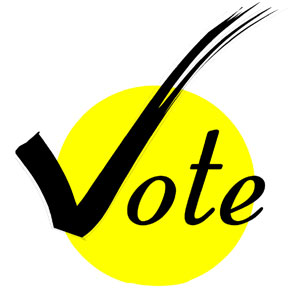 india vote
