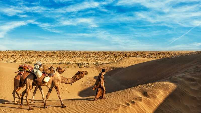 Thar Desert