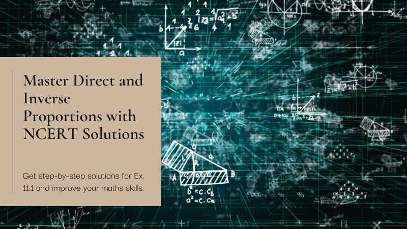 ex 11.1 class 8 direct and inverse