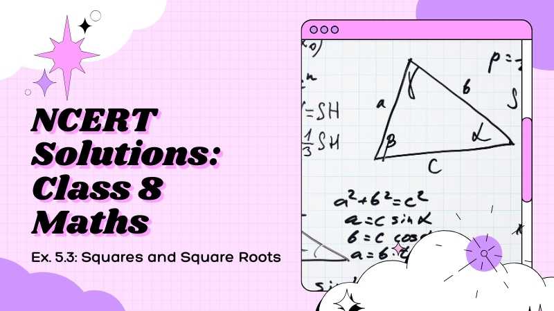 Class 8 Maths Chapter 5 Ex 5.3 Squares and Square Roots