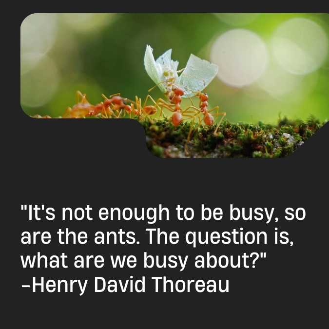 Henry David Thoreau Time management Quote
