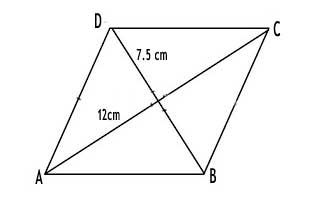 Q5 Class8 9.1