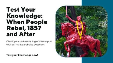 CLASS 8 HISTORY CHAPTER 5 EXPLANATION IN SHORT visual data 8