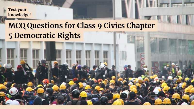 MCQ Questions for Class 9 Civics Chapter 5