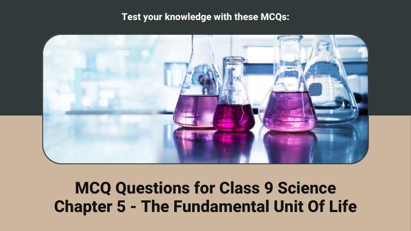 class 9 science chapter 5 mcq evidyarthi