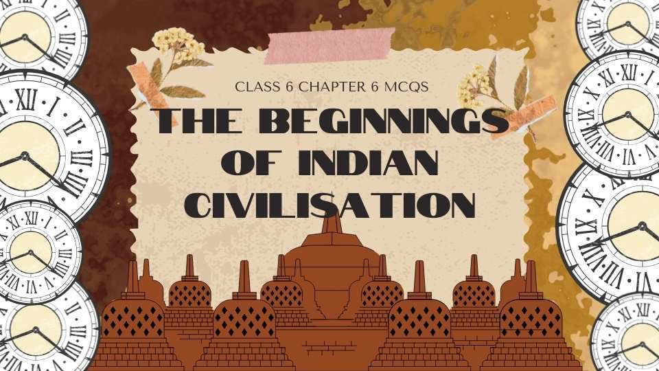 Class 6 Chapter 6 MCQs