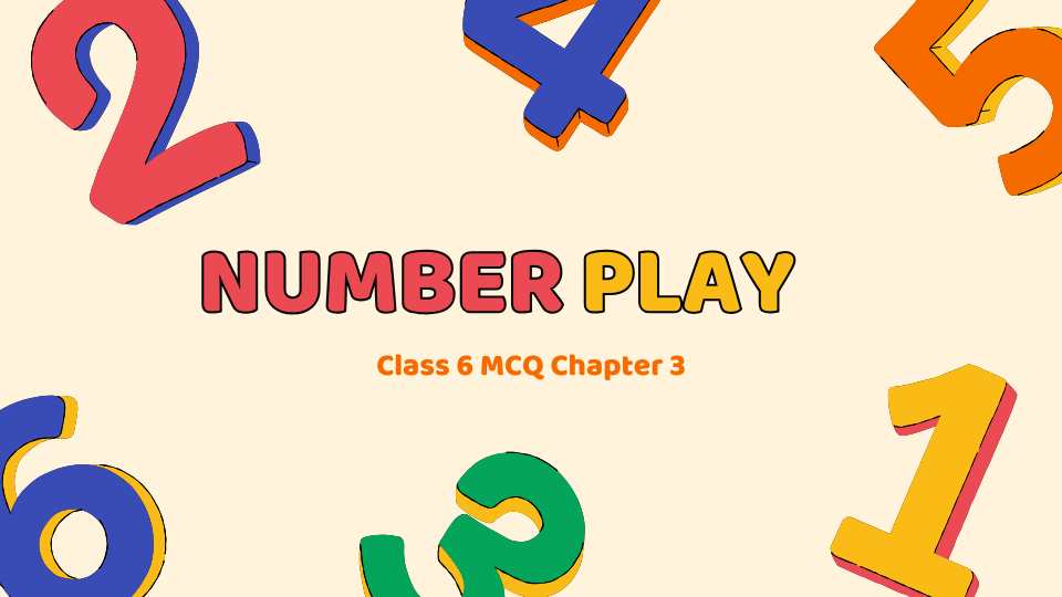 Class 6 MCQ Chapter 3