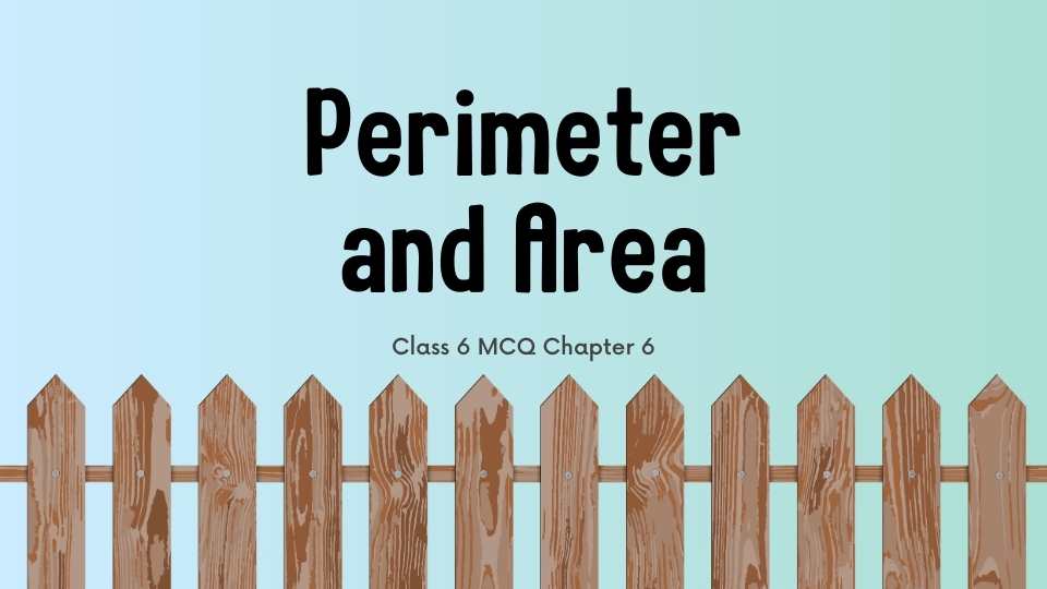 Class 6 MCQ Chapter 6