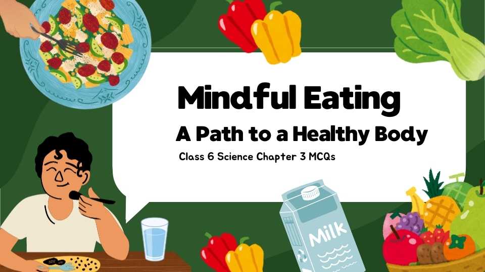 Class 6 Science Chapter 3 MCQs