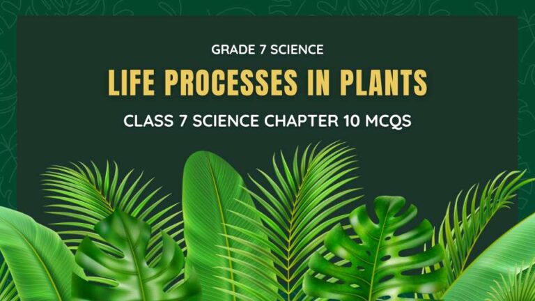 Life Processes in Plants Class 7 Science Chapter 10 MCQs