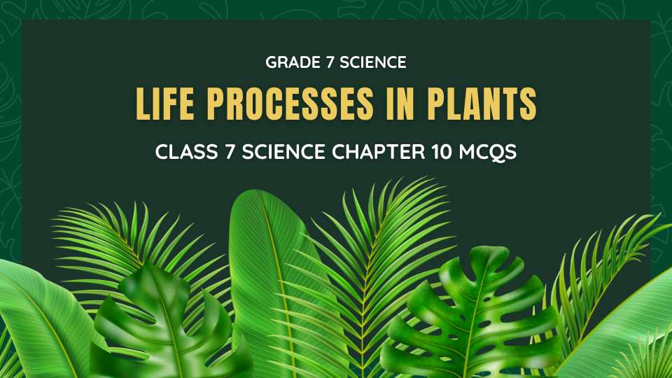 Class 7 Science Chapter 10 MCQs
