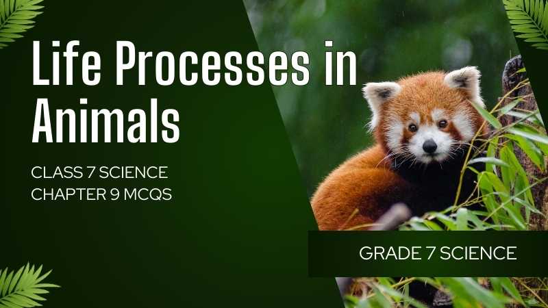 Class 7 Science Chapter 9 MCQs