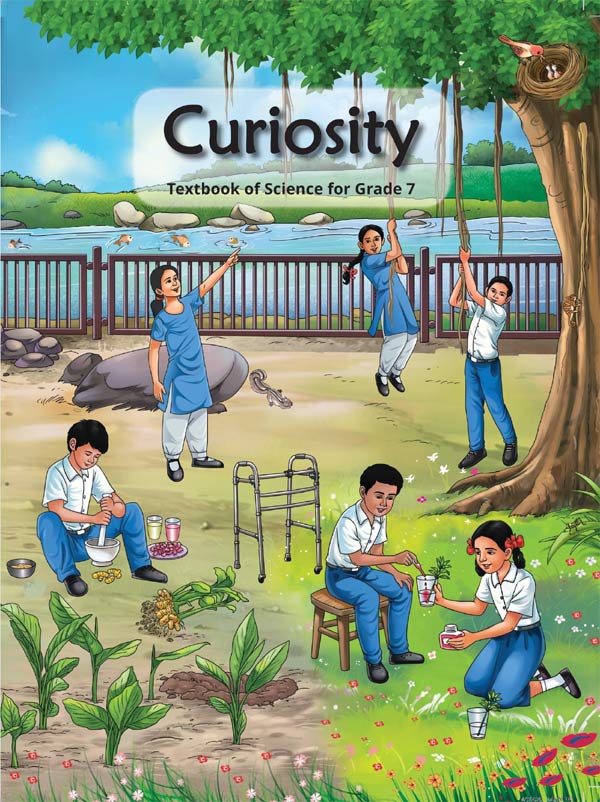 Curiosity Science Class 7 NCERT Book Cover