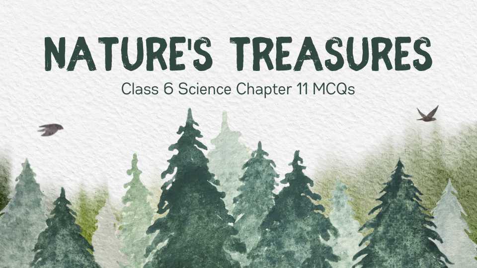 Nature's Treasures Class 6 Science Chapter 11 MCQs